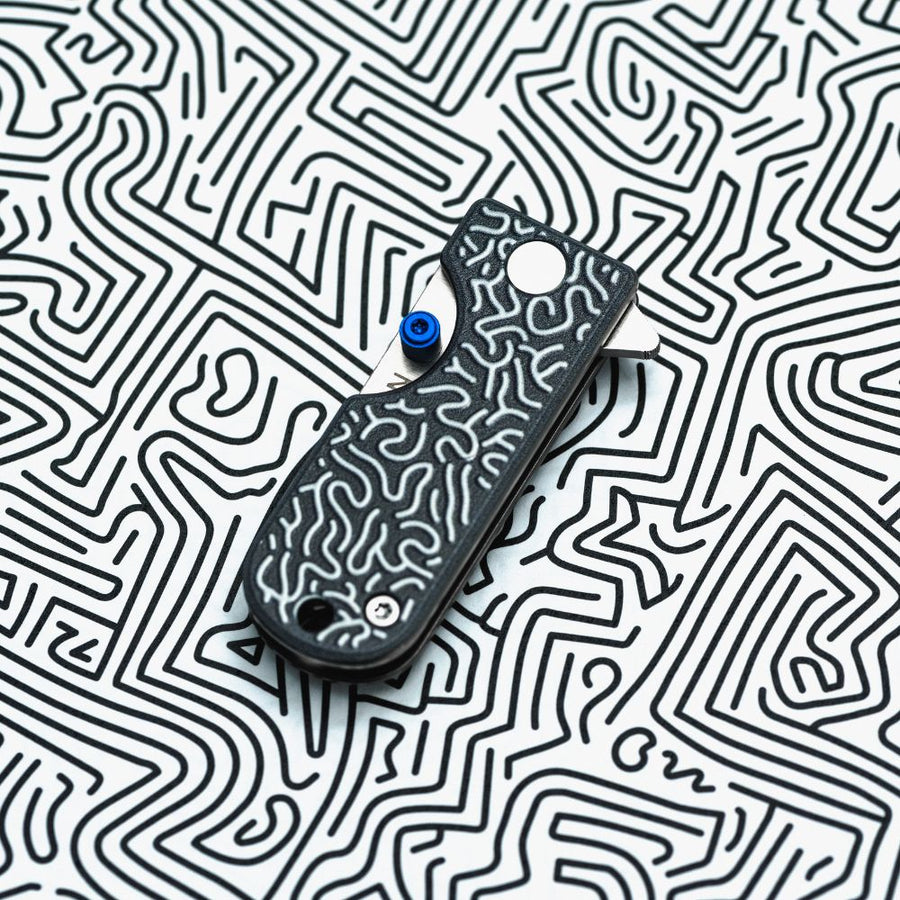 WESN Neural Maze